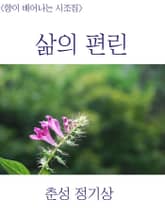 삶의 편린 표지 이미지