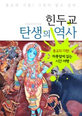 힌두교 탄생의 역사 (하룻밤에 읽는 역사 시간여행) 표지 이미지