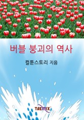 버블 붕괴의 역사 표지 이미지
