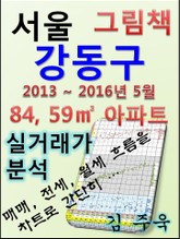 서울 강동구 84,59㎡ 아파트 매매, 전세, 월세 실거래가 분석 (2013 ~ 2016.5월) 표지 이미지