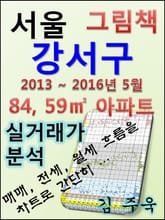 서울 강서구 84,59㎡ 아파트 매매, 전세, 월세 실거래가 분석 (2013 ~ 2016.5월) 표지 이미지