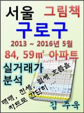 서울 구로구 84,59㎡ 아파트 매매, 전세, 월세 실거래가 분석 (2013 ~ 2016.5월) 표지 이미지