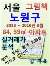 서울 노원구 84,59㎡ 아파트 매매, 전세, 월세 실거래가 분석 (2013 ~ 2016.5월) 표지 이미지