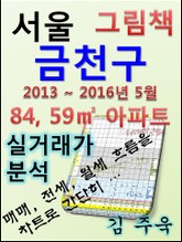 서울 금천구 84,59㎡ 아파트 매매, 전세, 월세 실거래가 분석 (2013 ~ 2016.5월) 표지 이미지
