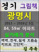 경기도 광명시 84,59㎡ 아파트 매매, 전세, 월세 실거래가 분석 (2013 ~ 2016.5월) 표지 이미지