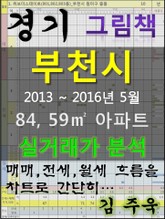 경기도 부천시 84,59㎡ 아파트 매매, 전세, 월세 실거래가 분석 (2013 ~ 2016.5월) 표지 이미지