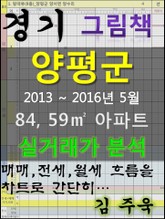경기도 양평군 84,59㎡ 아파트 매매, 전세, 월세 실거래가 분석 (2013 ~ 2016.5월) 표지 이미지