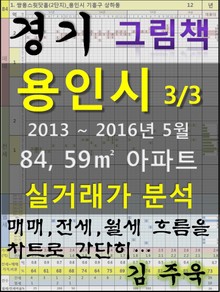 경기도 용인시 3/3 84,59㎡ 아파트 매매, 전세, 월세 실거래가 분석 (2013 ~ 2016.5월)