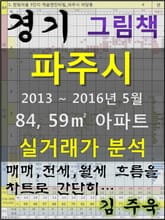 경기도 파주시 84,59㎡ 아파트 매매, 전세, 월세 실거래가 분석 (2013 ~ 2016.5월) 표지 이미지