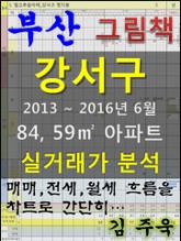 부산 강서구 84,59㎡ 아파트 매매, 전세, 월세 실거래가 분석 (2013 ~ 2016.6월) 표지 이미지