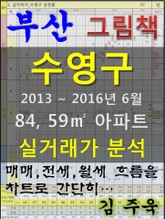 부산 수영구 84,59㎡ 아파트 매매, 전세, 월세 실거래가 분석 (2013 ~ 2016.6월) 표지 이미지