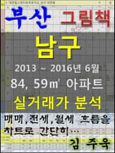 부산 남구 84,59㎡ 아파트 매매, 전세, 월세 실거래가 분석 (2013 ~ 2016.6월) 표지 이미지