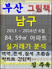 부산 남구 84,59㎡ 아파트 매매, 전세, 월세 실거래가 분석 (2013 ~ 2016.6월)