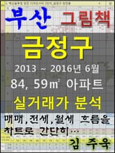 부산 금정구 84,59㎡ 아파트 매매, 전세, 월세 실거래가 분석 (2013 ~ 2016.6월) 표지 이미지