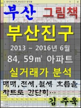 부산 부산진구 84,59㎡ 아파트 매매, 전세, 월세 실거래가 분석 (2013 ~ 2016.6월) 표지 이미지