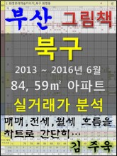 부산 북구 84,59㎡ 아파트 매매, 전세, 월세 실거래가 분석 (2013 ~ 2016.6월) 표지 이미지
