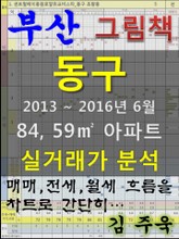 부산 동구 84,59㎡ 아파트 매매, 전세, 월세 실거래가 분석 (2013 ~ 2016.6월) 표지 이미지
