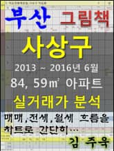 부산 사상구 84,59㎡ 아파트 매매, 전세, 월세 실거래가 분석 (2013 ~ 2016.6월) 표지 이미지