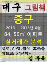 대구 중구 84,59㎡ 아파트 매매, 전세, 월세 실거래가 분석 (2013 ~ 2016.6월) 표지 이미지