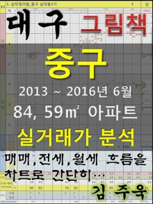 대구 중구 84,59㎡ 아파트 매매, 전세, 월세 실거래가 분석 (2013 ~ 2016.6월)