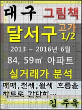 대구 달서구 84,59㎡ 아파트 1/2 고가 매매, 전세, 월세 실거래가 분석 (2013 ~ 2016.6월) 표지 이미지