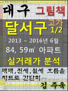 대구 달서구 84,59㎡ 아파트 1/2 고가 매매, 전세, 월세 실거래가 분석 (2013 ~ 2016.6월)