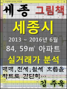 세종시 84,59㎡ 아파트 매매, 전세, 월세 실거래가 분석 (2013 ~ 2016.6월)