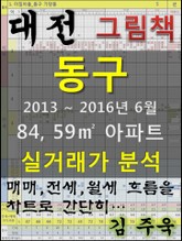 대전 동구 84,59㎡ 아파트 매매, 전세, 월세 실거래가 분석 (2013 ~ 2016.6월) 표지 이미지
