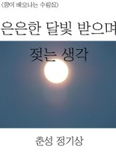 은은한 달빛 받으며 젖는 생각 표지 이미지