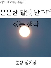 은은한 달빛 받으며 젖는 생각