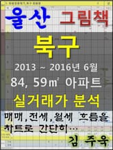 울산 북구 84,59㎡ 아파트 매매, 전세, 월세 실거래가 분석 (2013 ~ 2016.6월) 표지 이미지