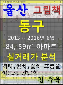 울산 동구 84,59㎡ 아파트 매매, 전세, 월세 실거래가 분석 (2013 ~ 2016.6월)