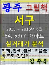 광주 서구 84,59㎡ 아파트 매매, 전세, 월세 실거래가 분석 (2013 ~ 2016.6월) 표지 이미지