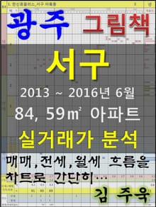 광주 서구 84,59㎡ 아파트 매매, 전세, 월세 실거래가 분석 (2013 ~ 2016.6월)