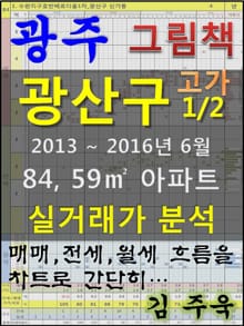 광주 광산구 1/2 고가 84,59㎡ 아파트 매매, 전세, 월세 실거래가 분석 (2013 ~ 2016.6월)