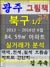 광주 북구 1/2 84,59㎡ 아파트 매매, 전세, 월세 실거래가 분석 (2013 ~ 2016.6월) 표지 이미지
