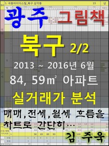 광주 북구 2/2 84,59㎡ 아파트 매매, 전세, 월세 실거래가 분석 (2013 ~ 2016.6월)