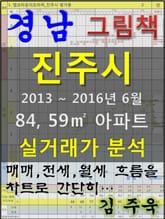 경남 진주시 84,59㎡ 아파트 매매, 전세, 월세 실거래가 분석 (2013 ~ 2016.6월) 표지 이미지