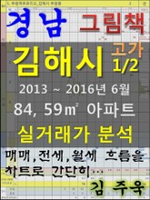 경남 김해시 1/2 고가 84,59㎡ 아파트 매매, 전세, 월세 실거래가 분석 (2013 ~ 2016.6월) 표지 이미지
