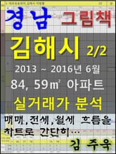 경남 김해시 2/2 84,59㎡ 아파트 매매, 전세, 월세 실거래가 분석 (2013 ~ 2016.6월) 표지 이미지