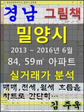 경남 밀양시 84,59㎡ 아파트 매매, 전세, 월세 실거래가 분석 (2013 ~ 2016.6월) 표지 이미지