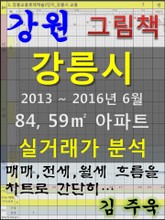 강원 강릉시 84,59㎡ 아파트 매매, 전세, 월세 실거래가 분석 (2013 ~ 2016.6월) 표지 이미지