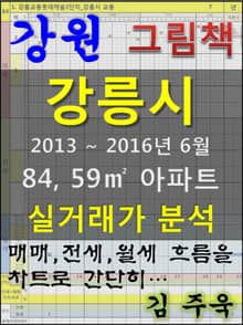 강원 강릉시 84,59㎡ 아파트 매매, 전세, 월세 실거래가 분석 (2013 ~ 2016.6월)
