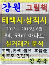 강원 태백시 삼척시 84,59㎡ 아파트 매매, 전세, 월세 실거래가 분석 (2013 ~ 2016.6월) 표지 이미지