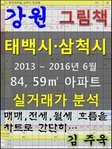 강원 태백시 삼척시 84,59㎡ 아파트 매매, 전세, 월세 실거래가 분석 (2013 ~ 2016.6월)