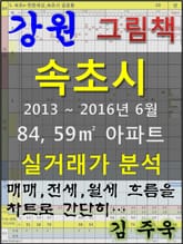 강원 속초시 84,59㎡ 아파트 매매, 전세, 월세 실거래가 분석 (2013 ~ 2016.6월) 표지 이미지