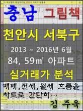 충남 천안시 서북구 84, 59㎡ 아파트 매매, 전세, 월세 실거래가 분석 (2013 ~ 2016.6월) 표지 이미지