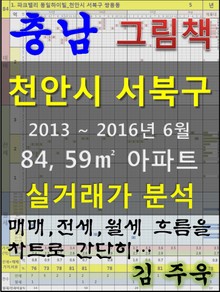 충남 천안시 서북구 84, 59㎡ 아파트 매매, 전세, 월세 실거래가 분석 (2013 ~ 2016.6월)