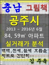 충남 공주시 84, 59㎡ 아파트 매매, 전세, 월세 실거래가 분석 (2013 ~ 2016.6월) 표지 이미지