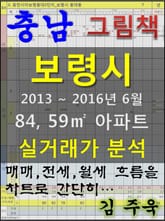 충남 보령시 84, 59㎡ 아파트 매매, 전세, 월세 실거래가 분석 (2013 ~ 2016.6월) 표지 이미지